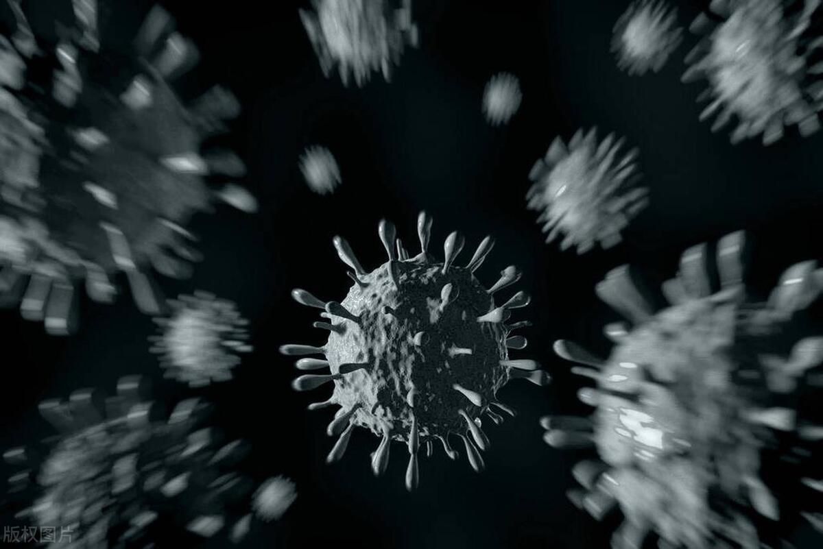 我23岁，从没经历过夫妻生活，作风正派，被诊断为感染尖锐湿疣