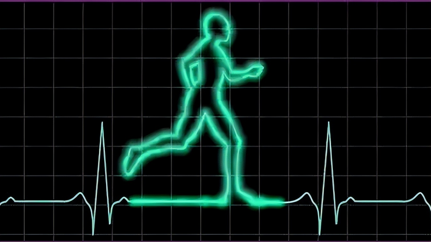 白天心率快晚上慢是什么原因,老年人心率慢的原因及治疗方法