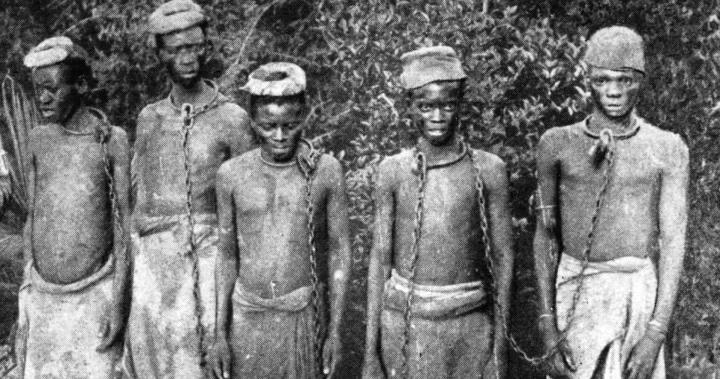 非洲耕地辽阔，为什么越来越穷，还要大量进口粮食？