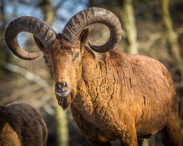 摩羯座和天蝎座谁更胜一筹,摩羯座和天蝎座谁城府深