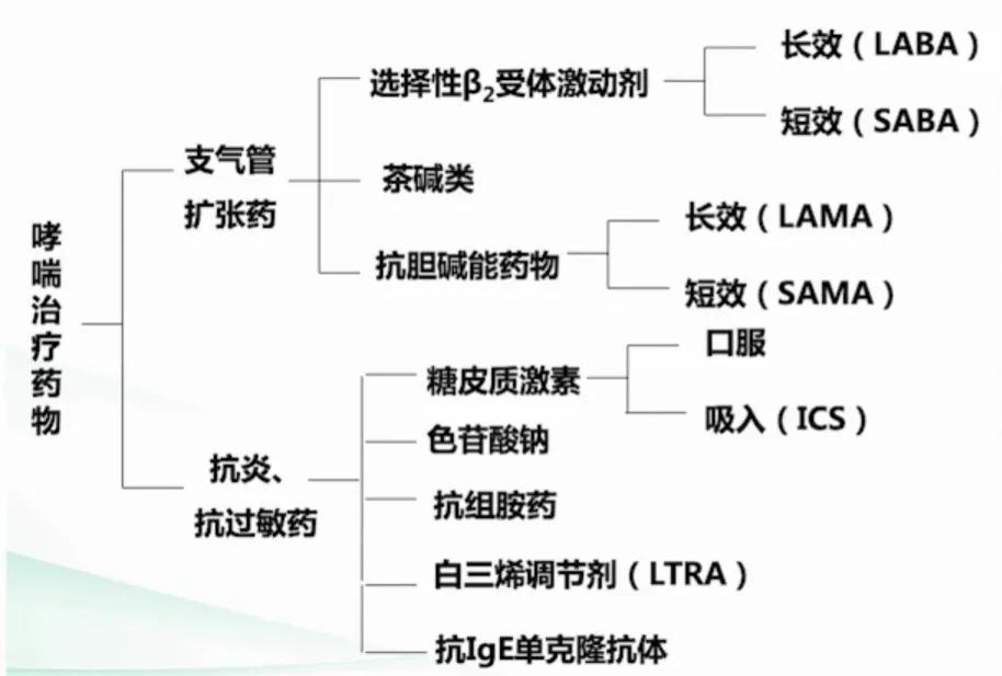 感冒哮喘发作怎么用药,哮喘用药吸入剂有哪些