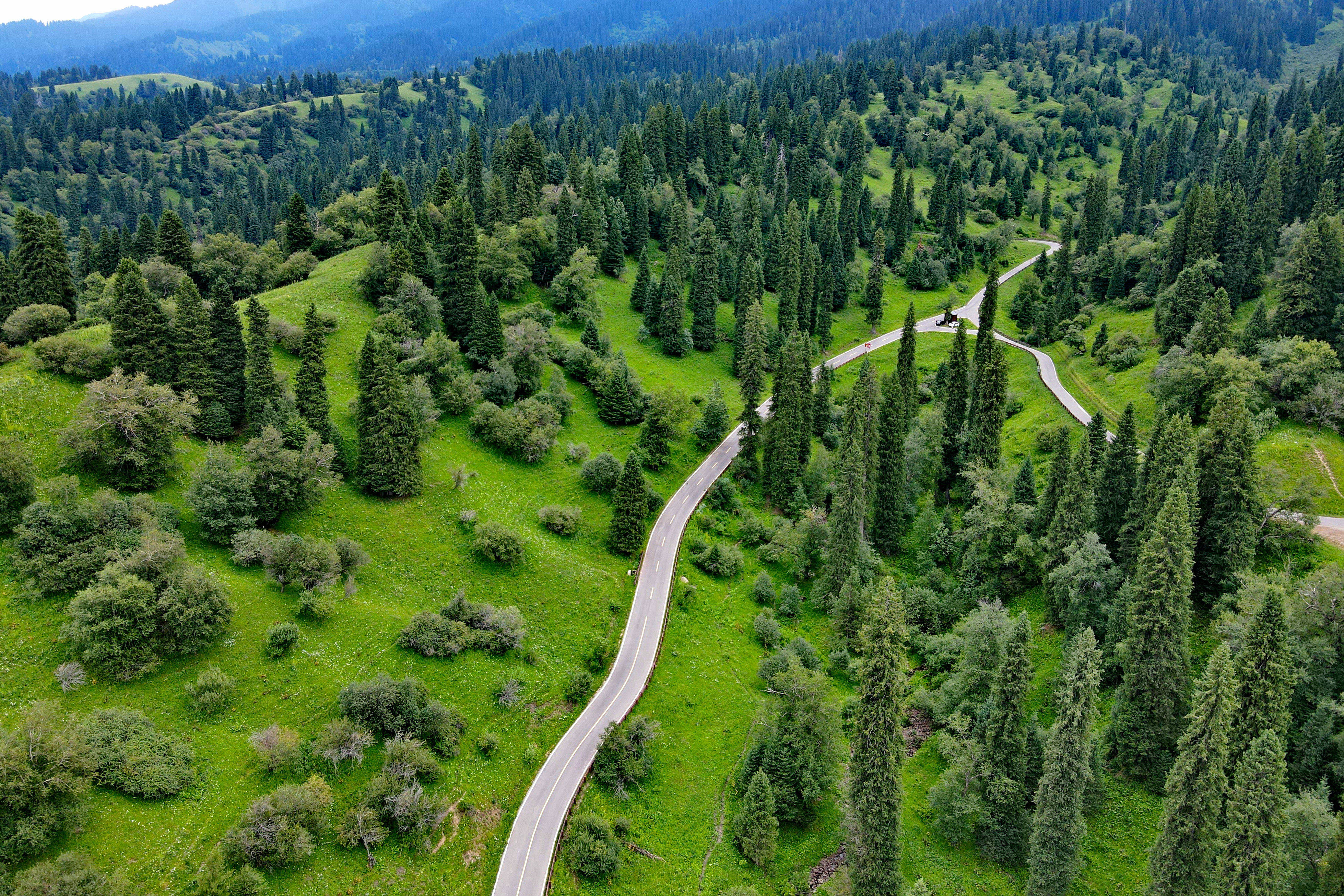 伊犁那拉提草原玩的有啥,伊犁那拉提草原是几级旅游景点
