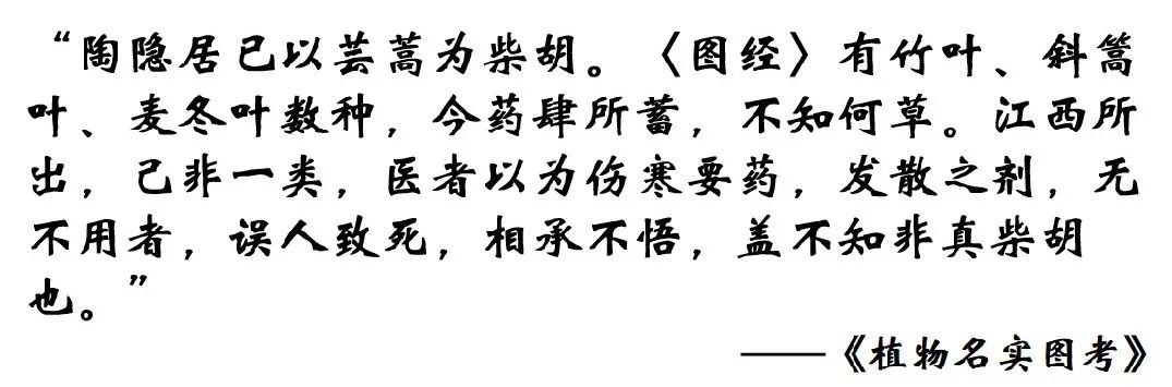 中药鉴定真假找谁,柴胡真假优劣鉴别