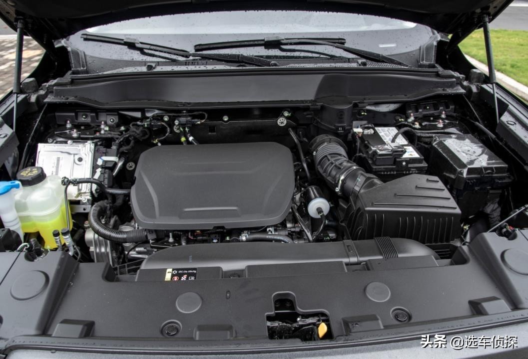 鍝堝紬澶х嫍鎵煩娴嬭瘯,鍝堝紬澶х嫍鎵煩鏄剧ず