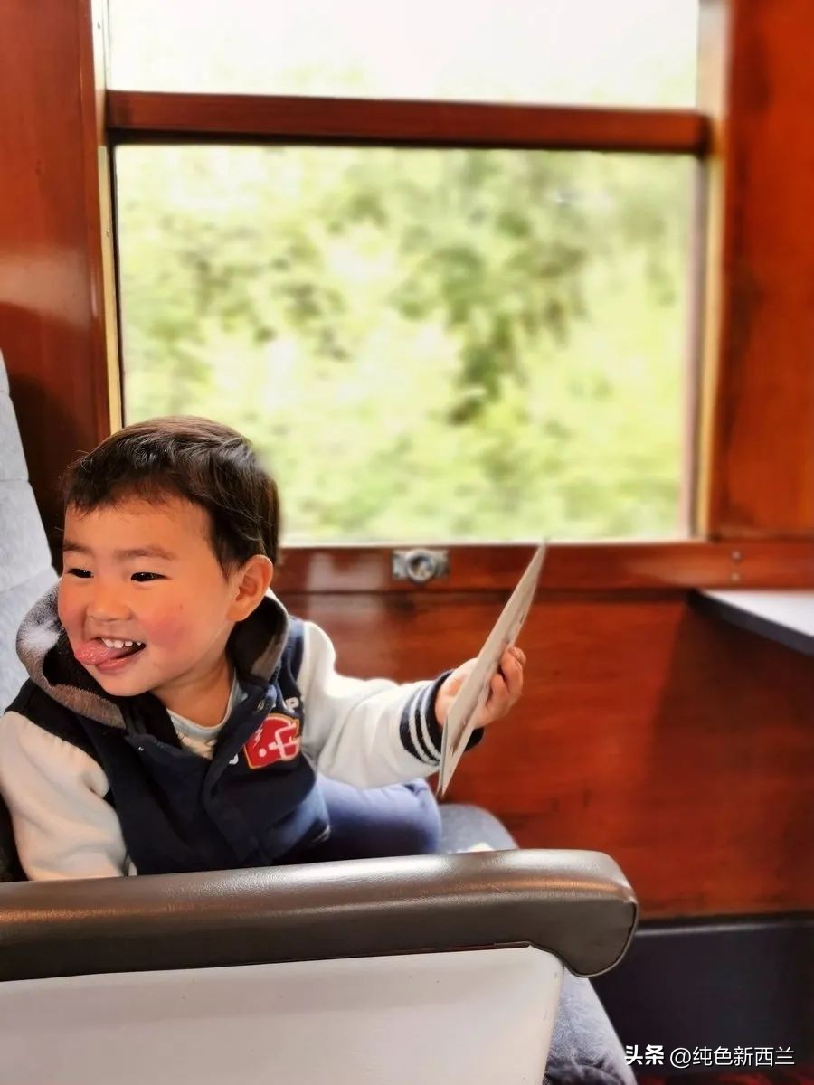 但尼丁火车站简介,新西兰但尼丁城市简介