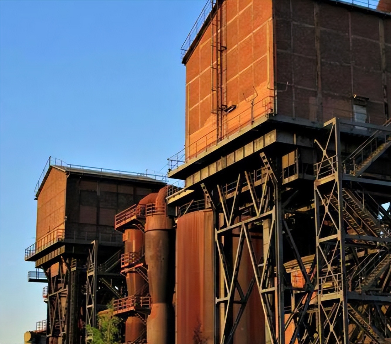 冷军手相,手相冷军