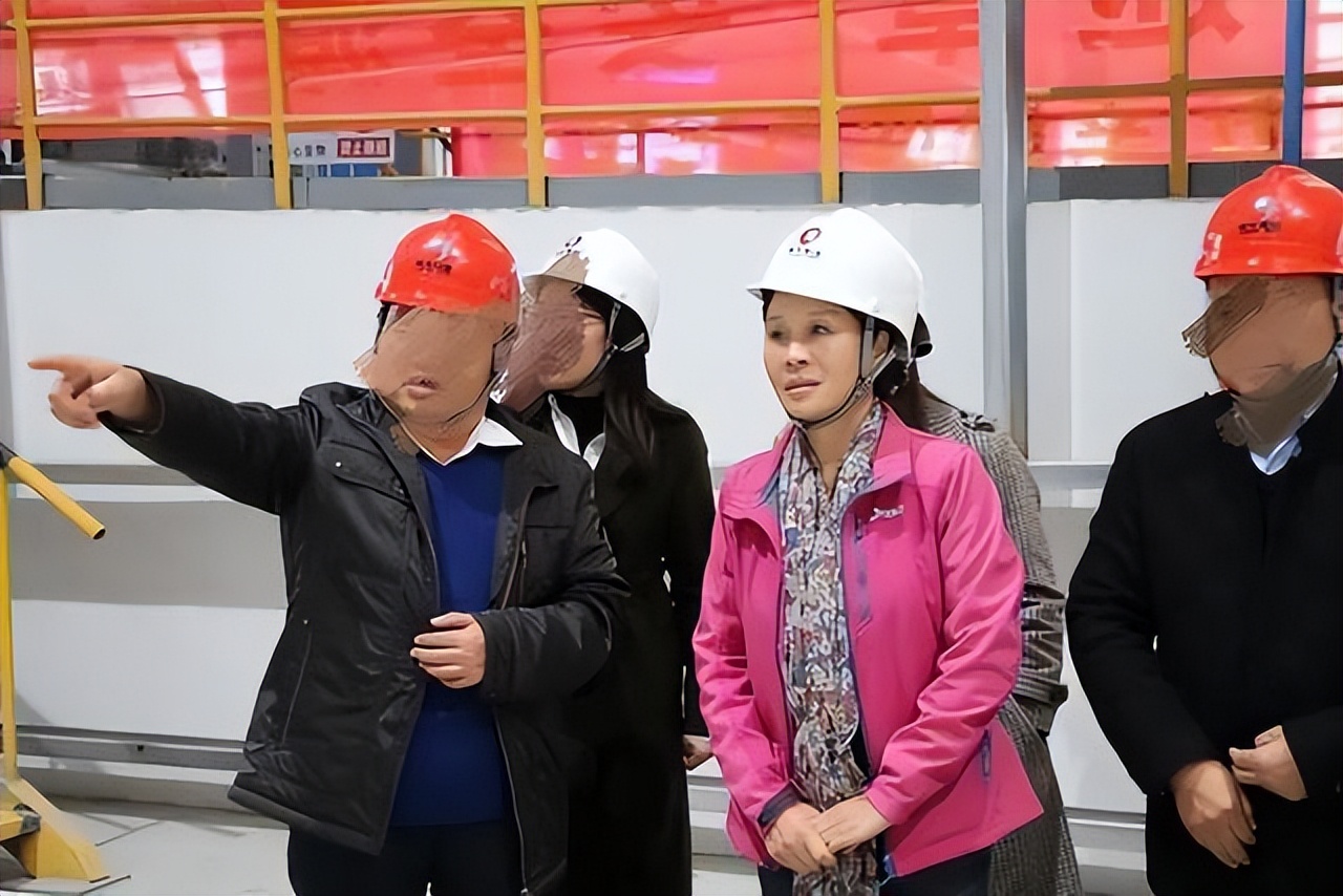 陕西某女银行行长贪污受贿案,女副行长受贿810亿被抓