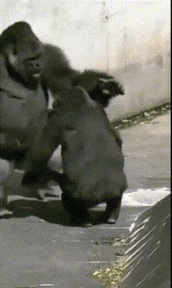 下雪天摔跤容易摔倒哪,下雪地上好滑大家注意安全