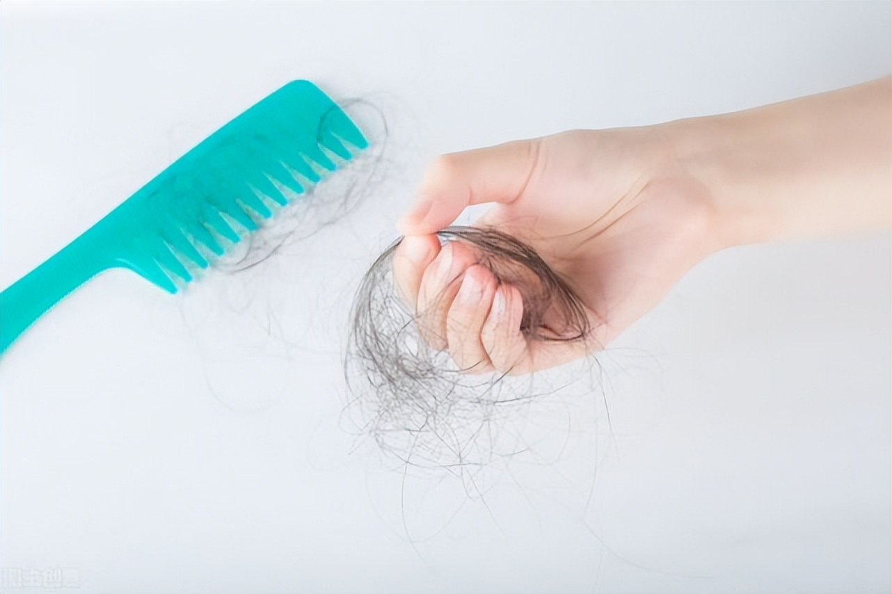 脱发人士必看超好用的生发方法,脱发的朋友注意了生发方法在这里