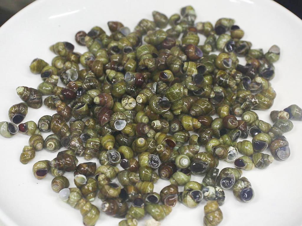 中秋美食月饼品尝与传统文化体验,中秋团聚的时候必吃的美食