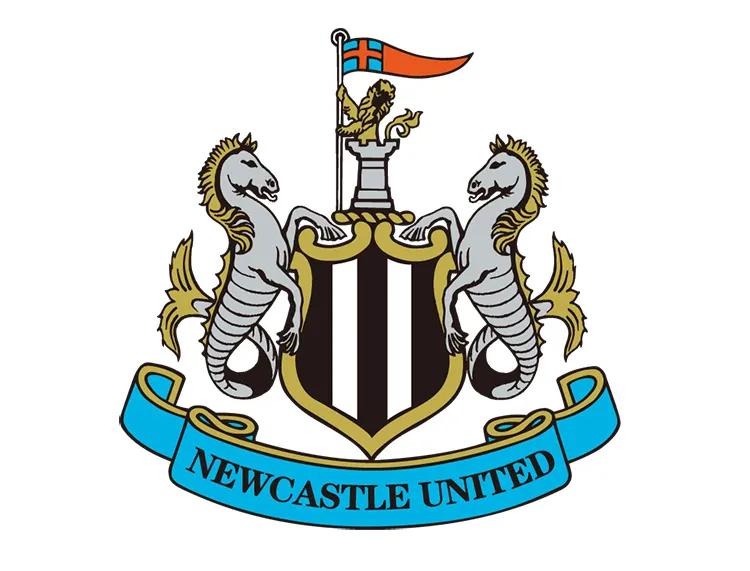 难道足球运动真的要成为中东富豪们的玩物？