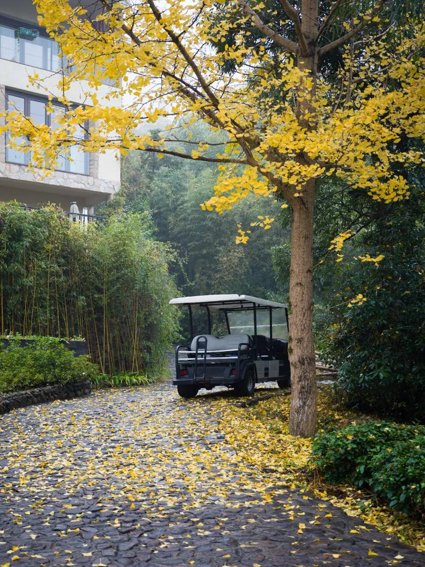 莫干山最美民宿20个推荐,莫干山民宿隐凡尘度假