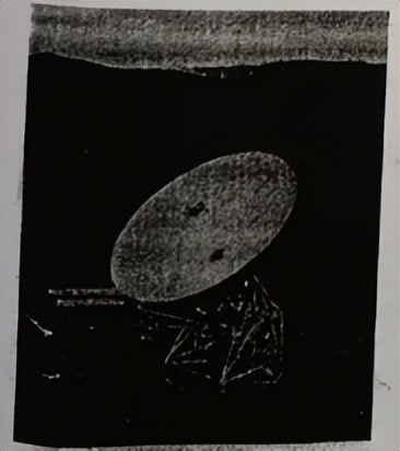 高考真题专项训练2024,2019-2023高考真题专项训练