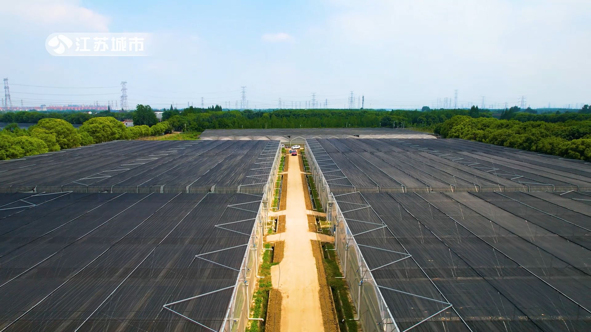 南京顺九,南京顺九发农业生态科技有限公司