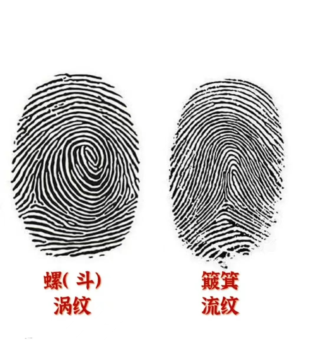 俗语一螺穷二螺富接下来是什么,一螺穷二螺富顺口溜是什么意思