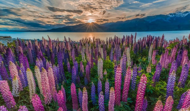 甯︿綘棰嗙暐2020骞村瀛ｆ柊鏃跺皻,澶忓鐏儹娼祦鏃跺皻