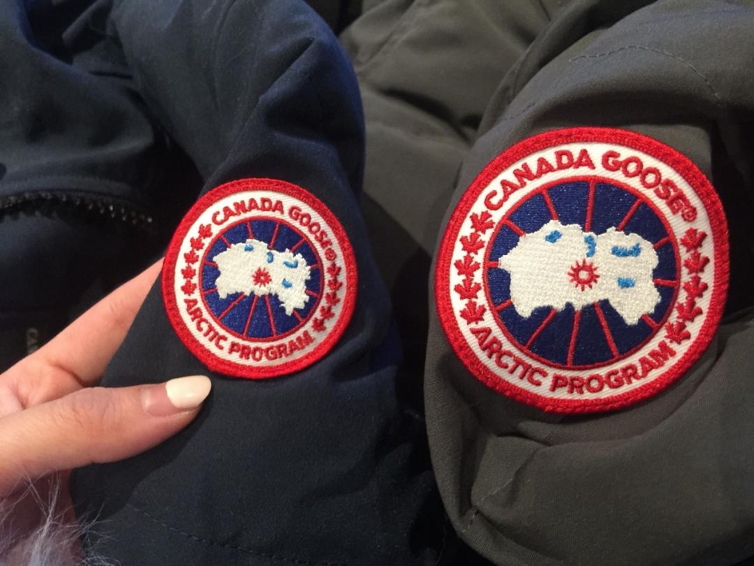 又端架子，又割粉丝，加拿大鹅入“冬”了？