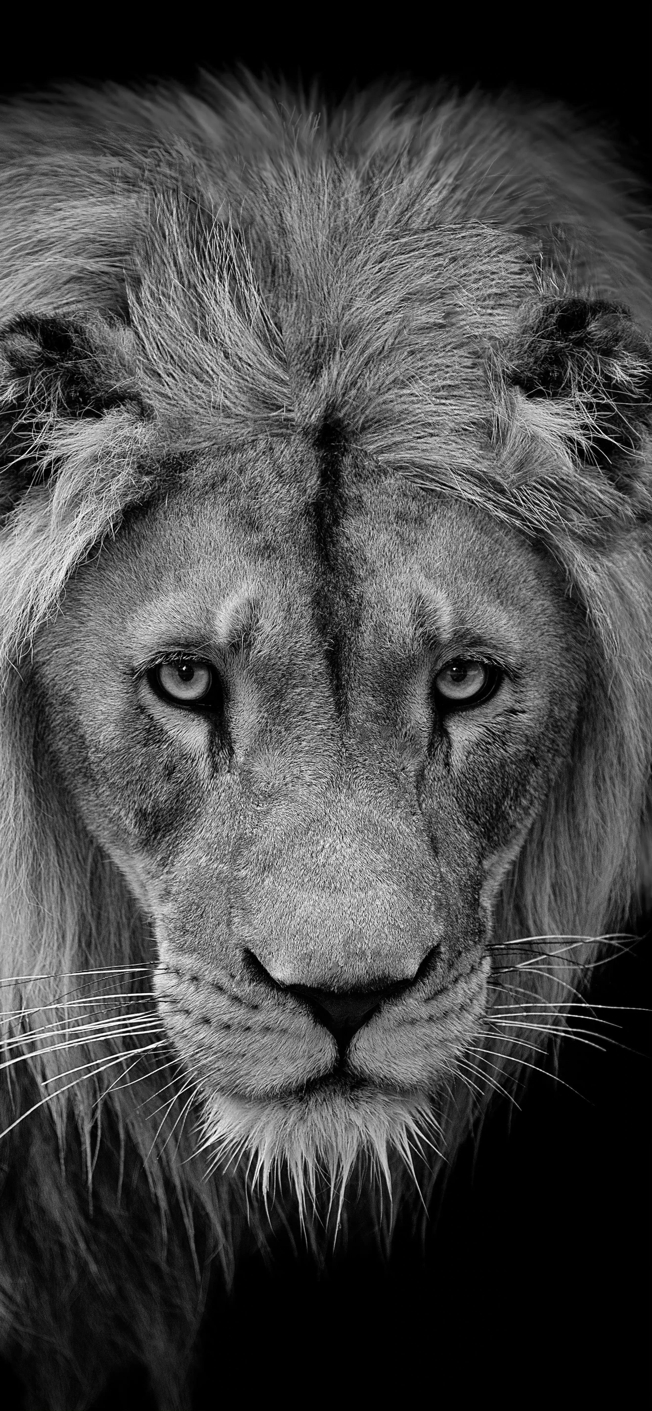 高清壁纸全面屏手机,围棋壁纸高清全面屏