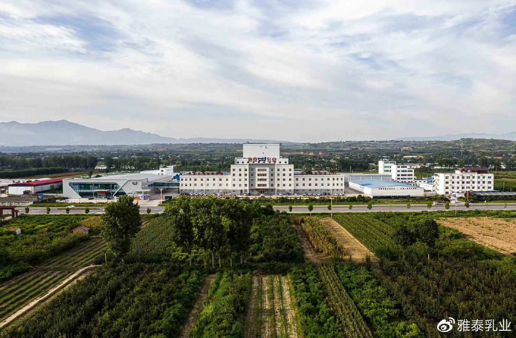 羊奶粉怎样选择比较好,什么品牌的羊奶粉最纯正最好