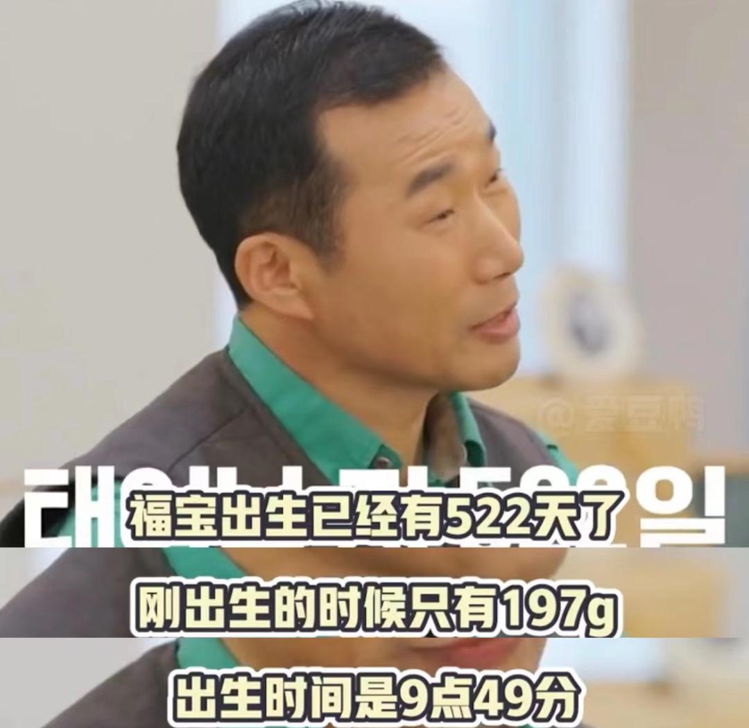 熊猫母子分开后再次相见,熊猫至死不渝的爱情