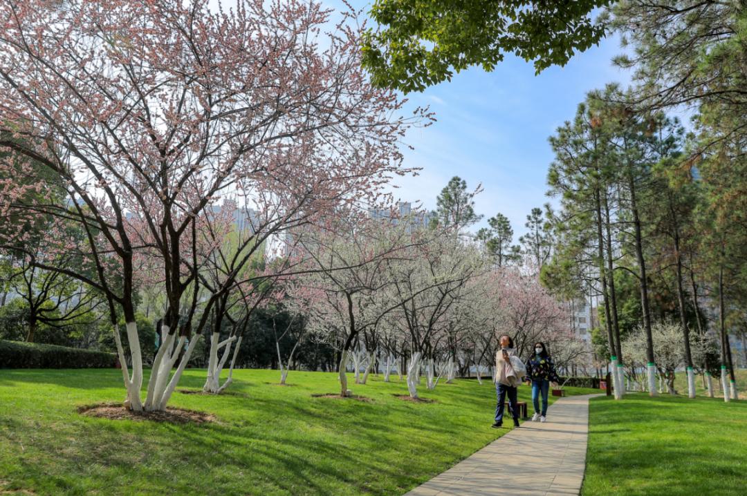 合肥周边五一好去处,合肥五一游玩攻略小孩