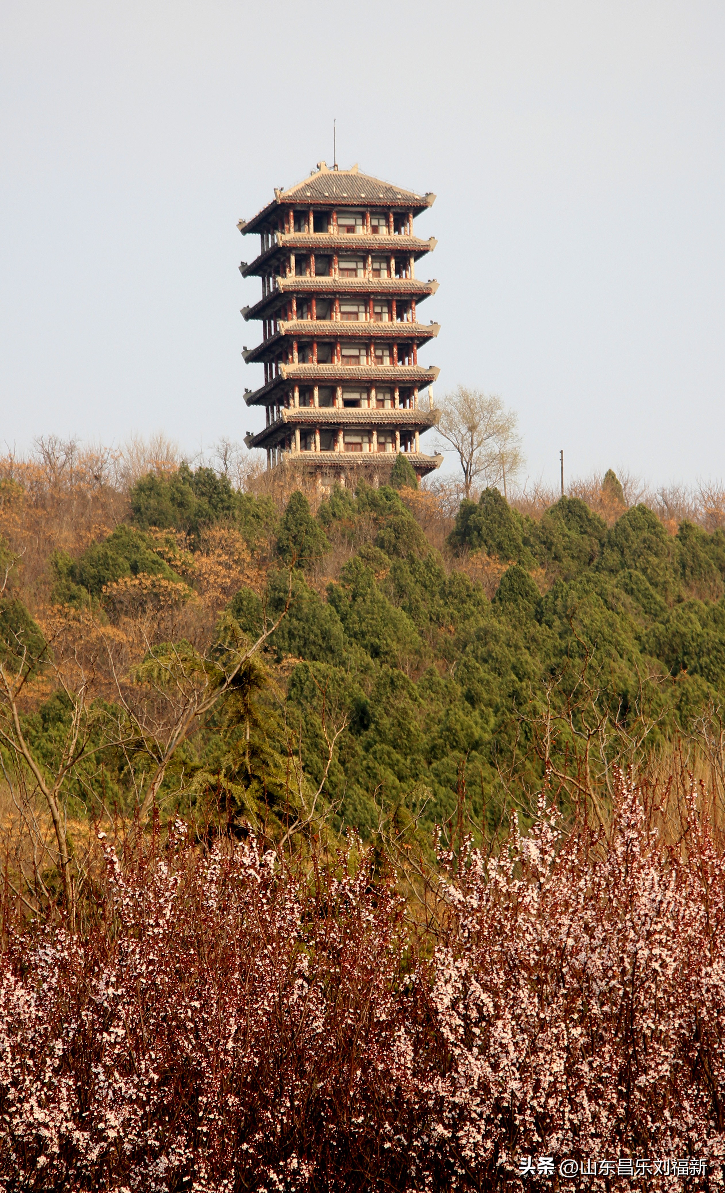 2023年3月中旬散拍·一点儿感受