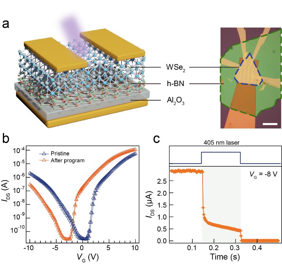 南大缪峰教授,缪峰南大
