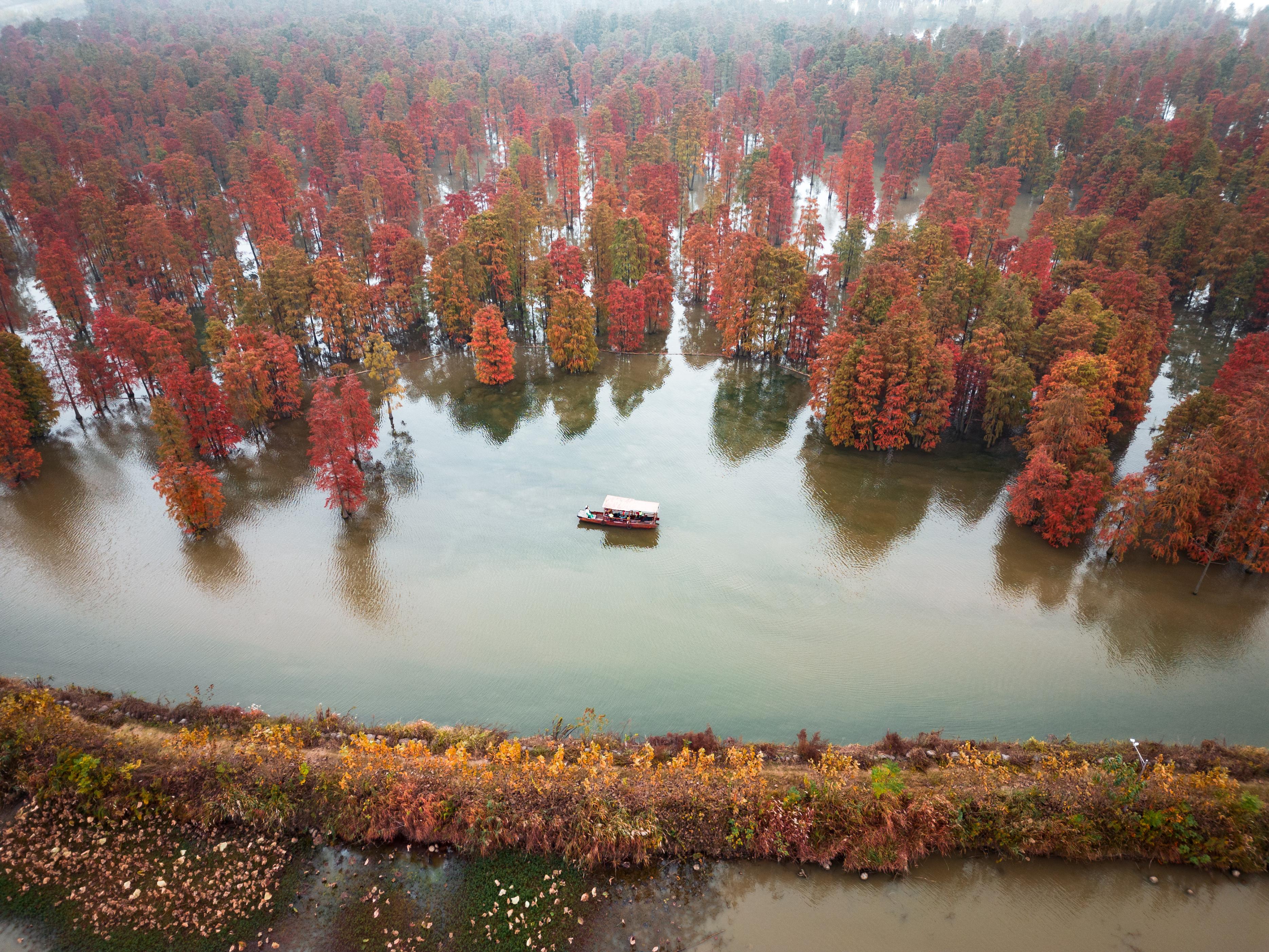 苏浙皖赣的旅游景点有多少,苏皖旅游景点推荐