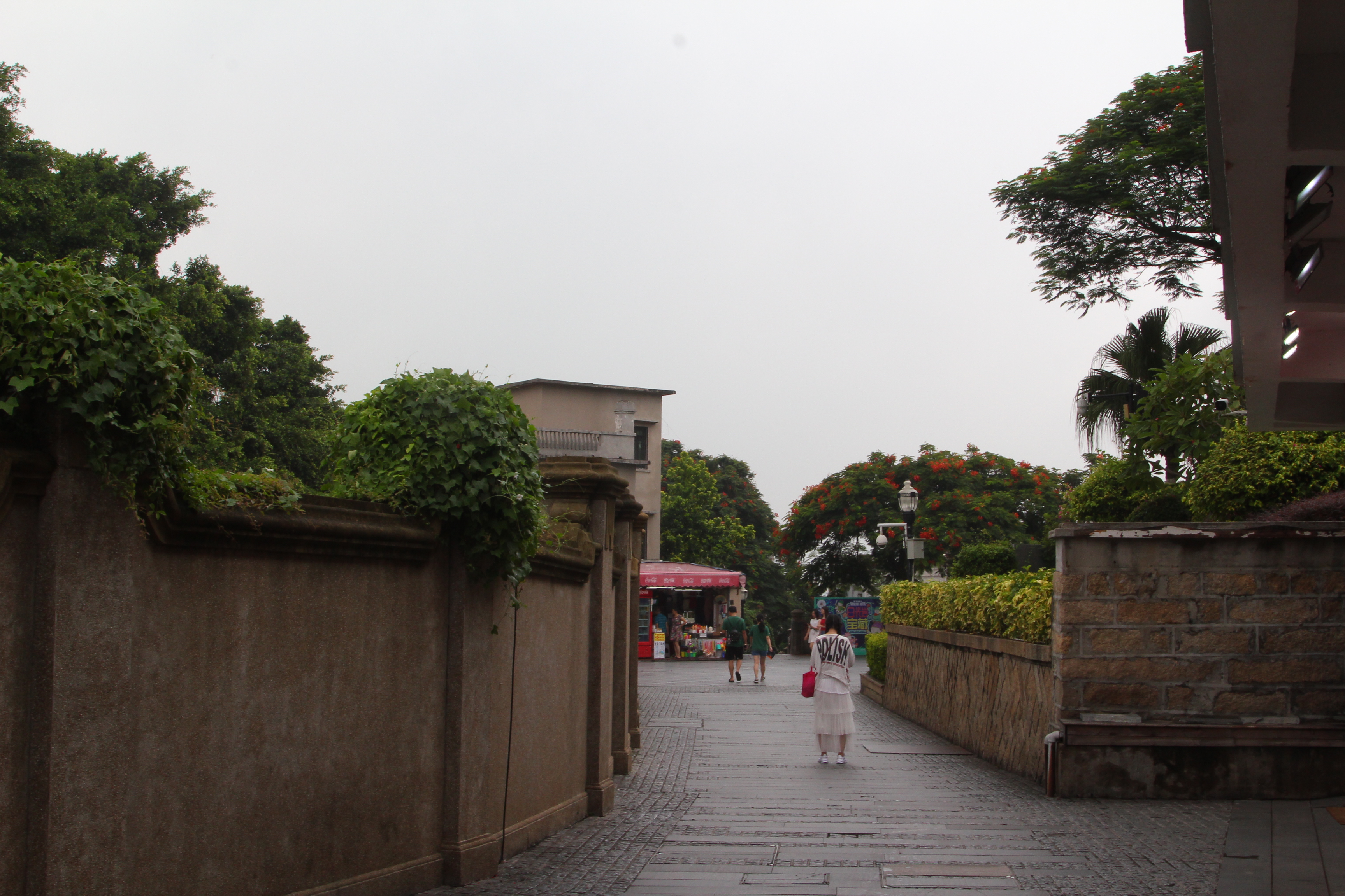 厦门一座来了就不想走的城市,去鼓浪屿不想逛太久