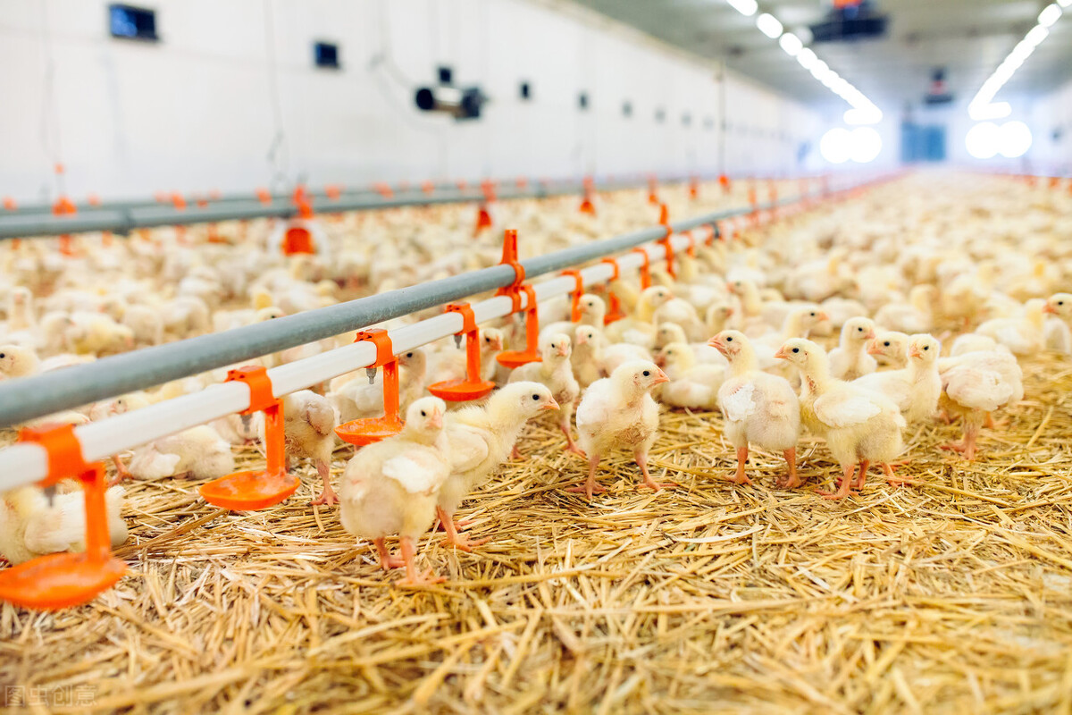 建养殖场土地审批程序,建养殖场到哪里办手续最快