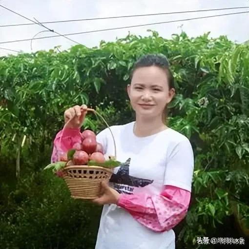 果农如何才能赚钱,果农的年收入