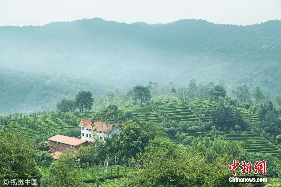 安庆市国家历史文化名城名单,西安历史文化名城保护规划