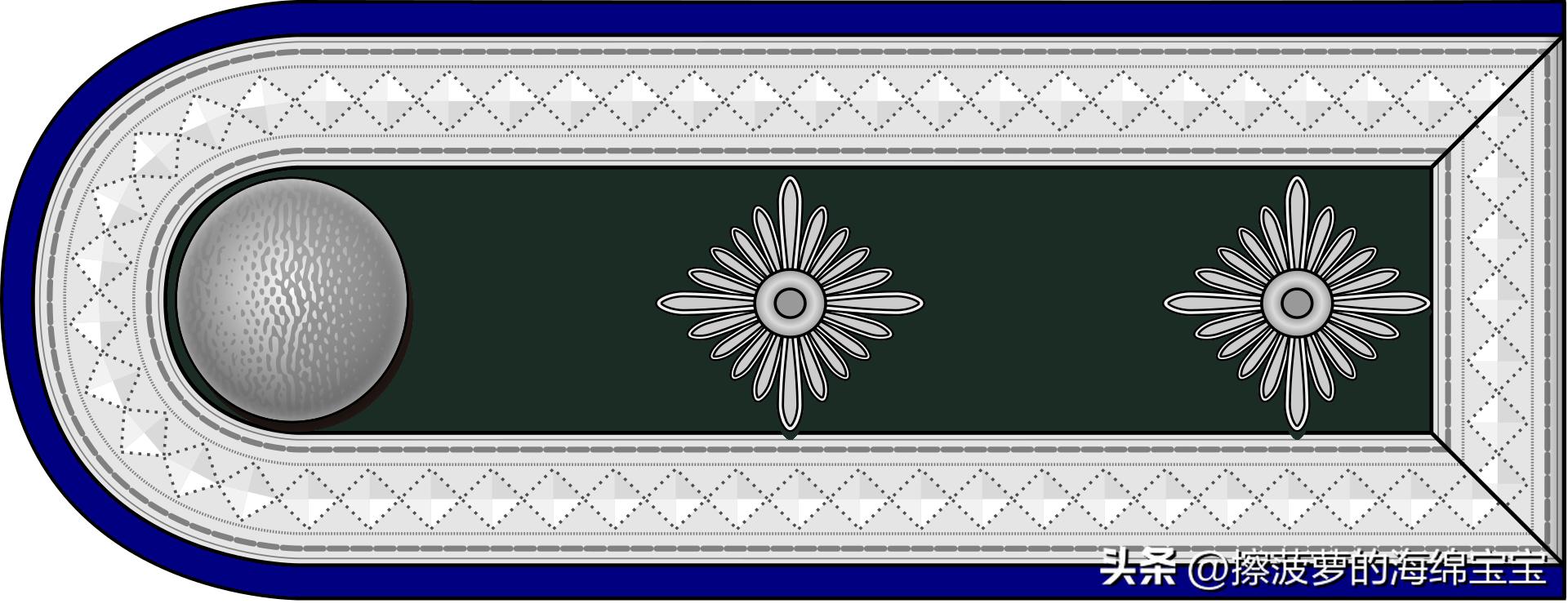 二战德国国防军医疗兵军衔标志