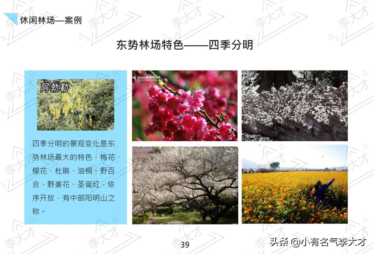 台湾乡村振兴战略案例,中国乡村振兴实施的成功案例