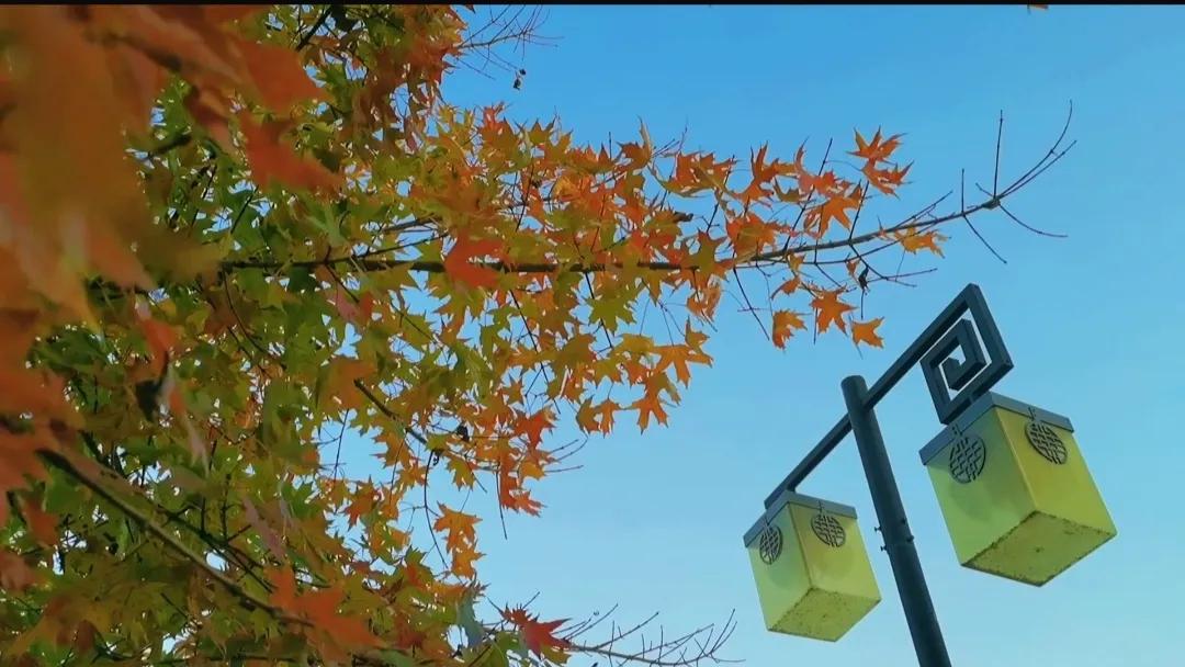 秋分是几月几号2021年,秋分早上好图片最新