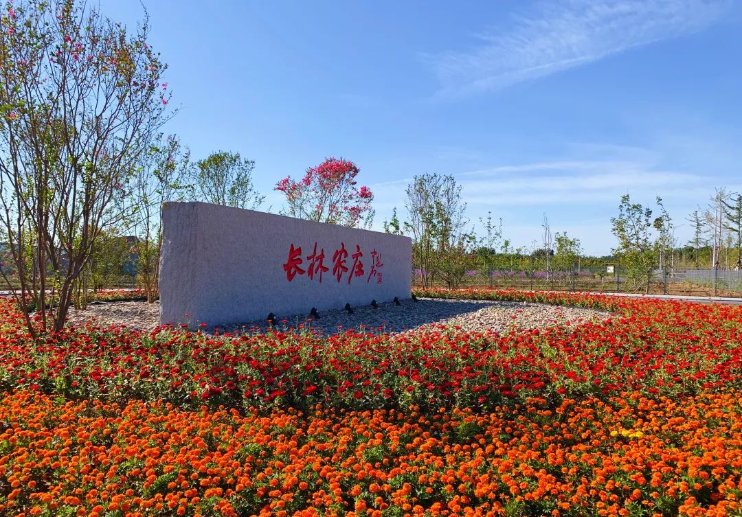 乡村振兴100讲全集,100个经典乡村振兴案例