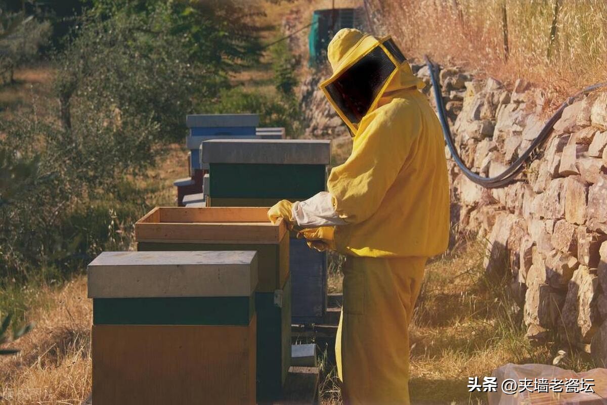 退休老人创业赚钱吗,退休后想在农村创业做什么好