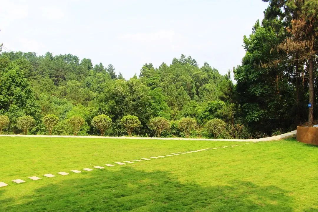 一起小住甜城，邂逅一个仲夏之梦