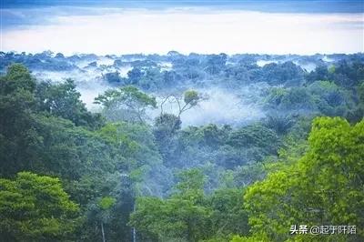 巴西的贫民窟到底有多残酷,巴西现在面临的环境问题
