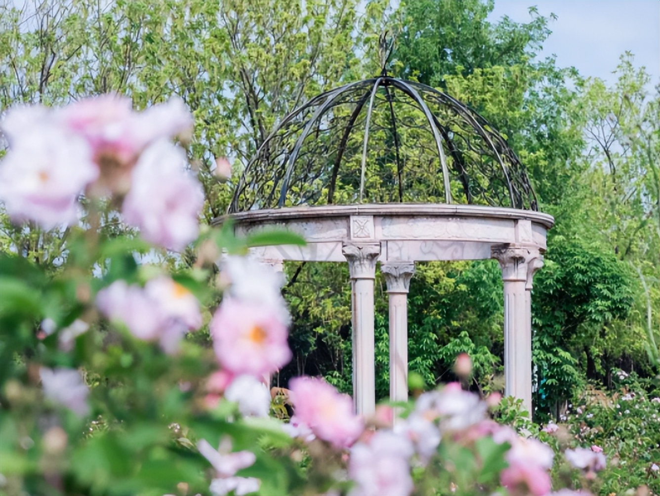 东南大学的短板在哪里,百年学府东南大学