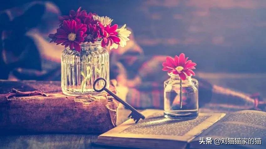 已婚女性被异性追求的心理,已婚女人被异性追求是什么心态