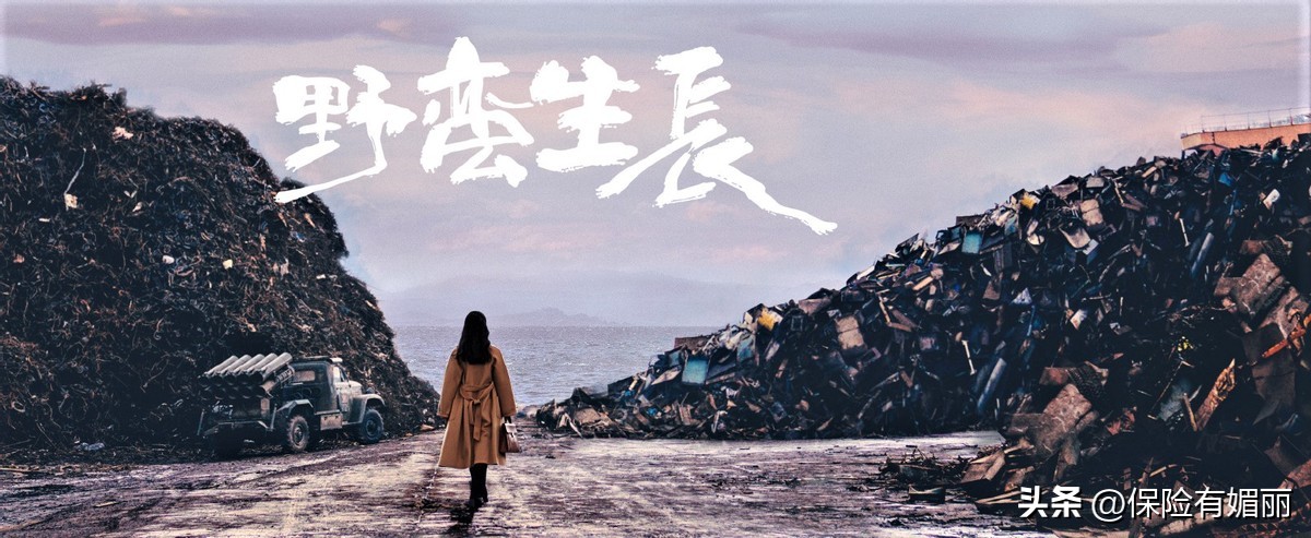 媚丽：个人养老金账户，你开了吗？