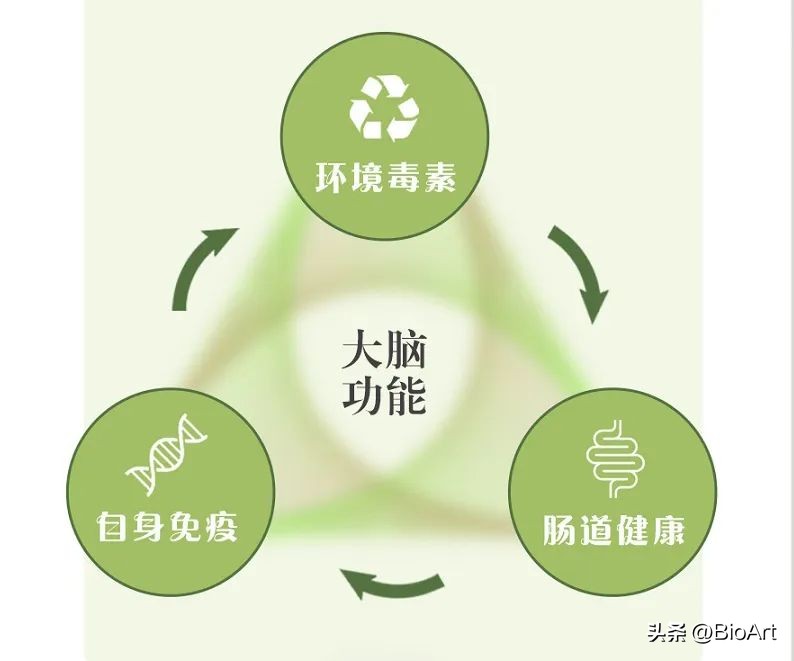 脑漏的真正原因,肠漏症和脑漏症