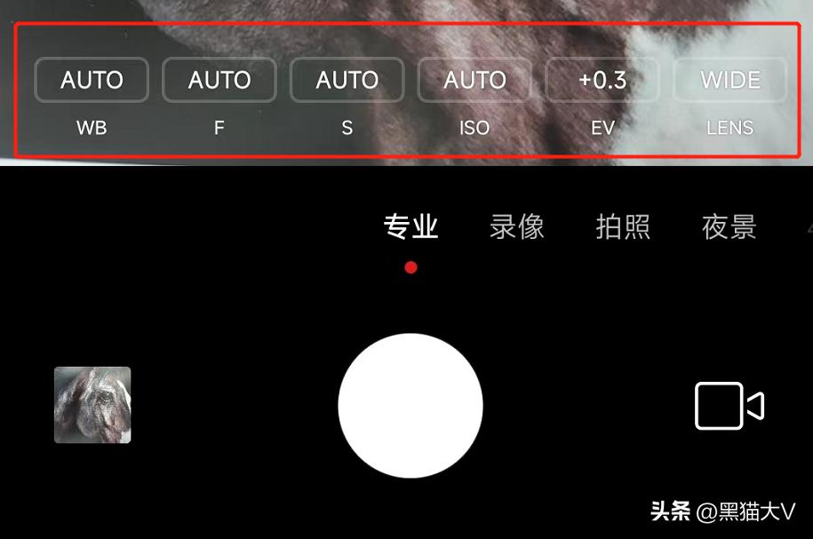miui拍照专业模式,搞懂小米手机相机专业模式