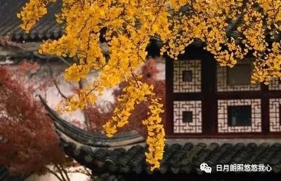 沧浪之水兮可以濯吾缨,沧浪之水浊兮可以濯我足