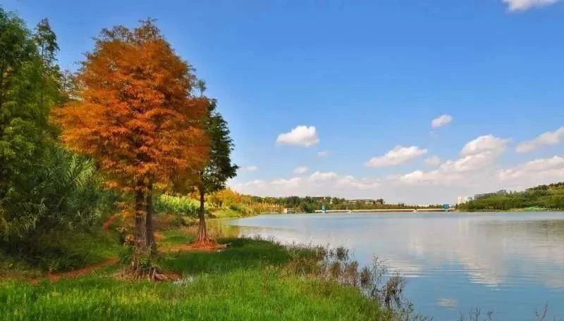 呈贡可以露营的公园,呈贡附近小众的露营地