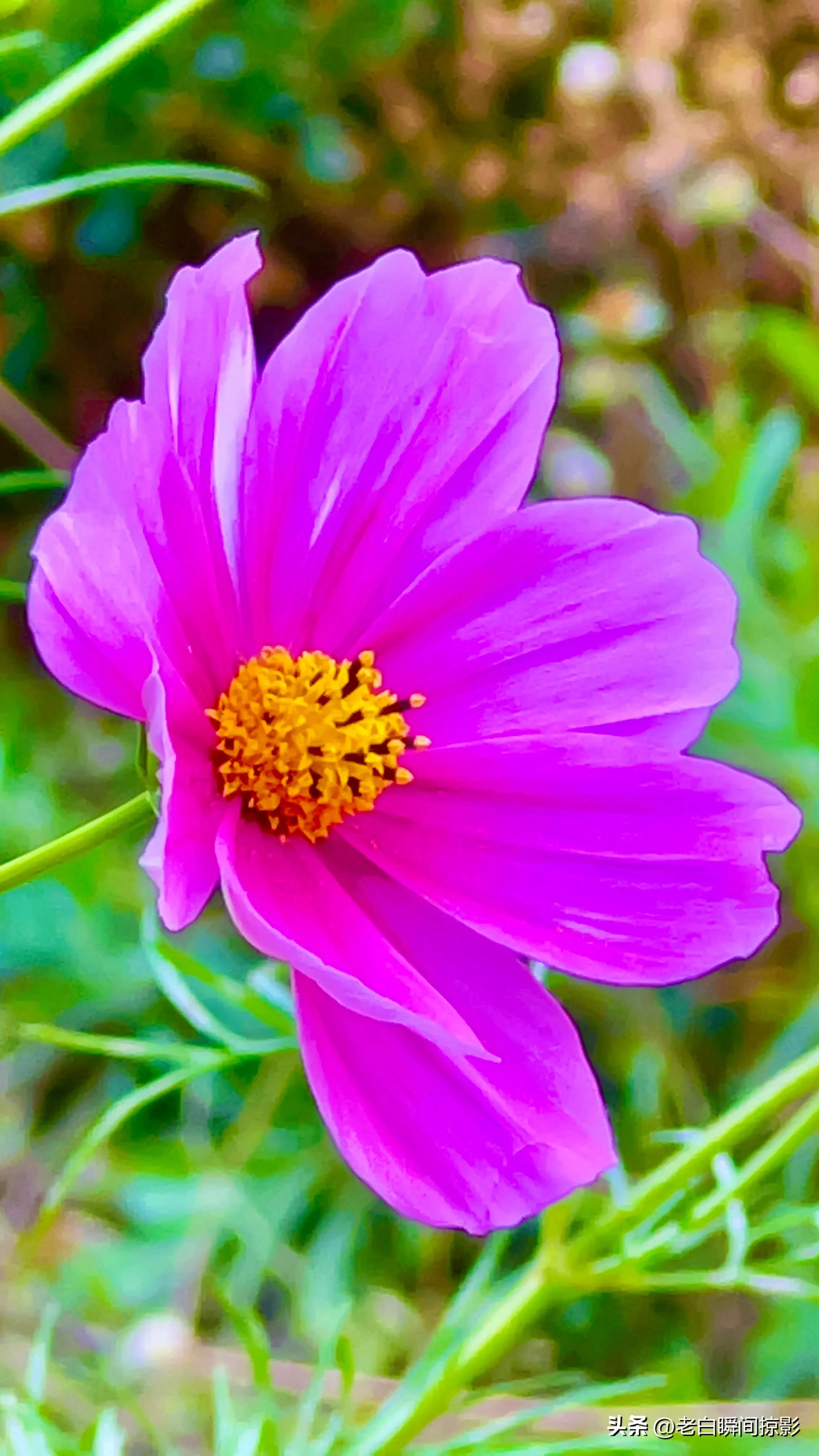 人不能闲着一闲就会多事,人不能闲着一闲就想太多