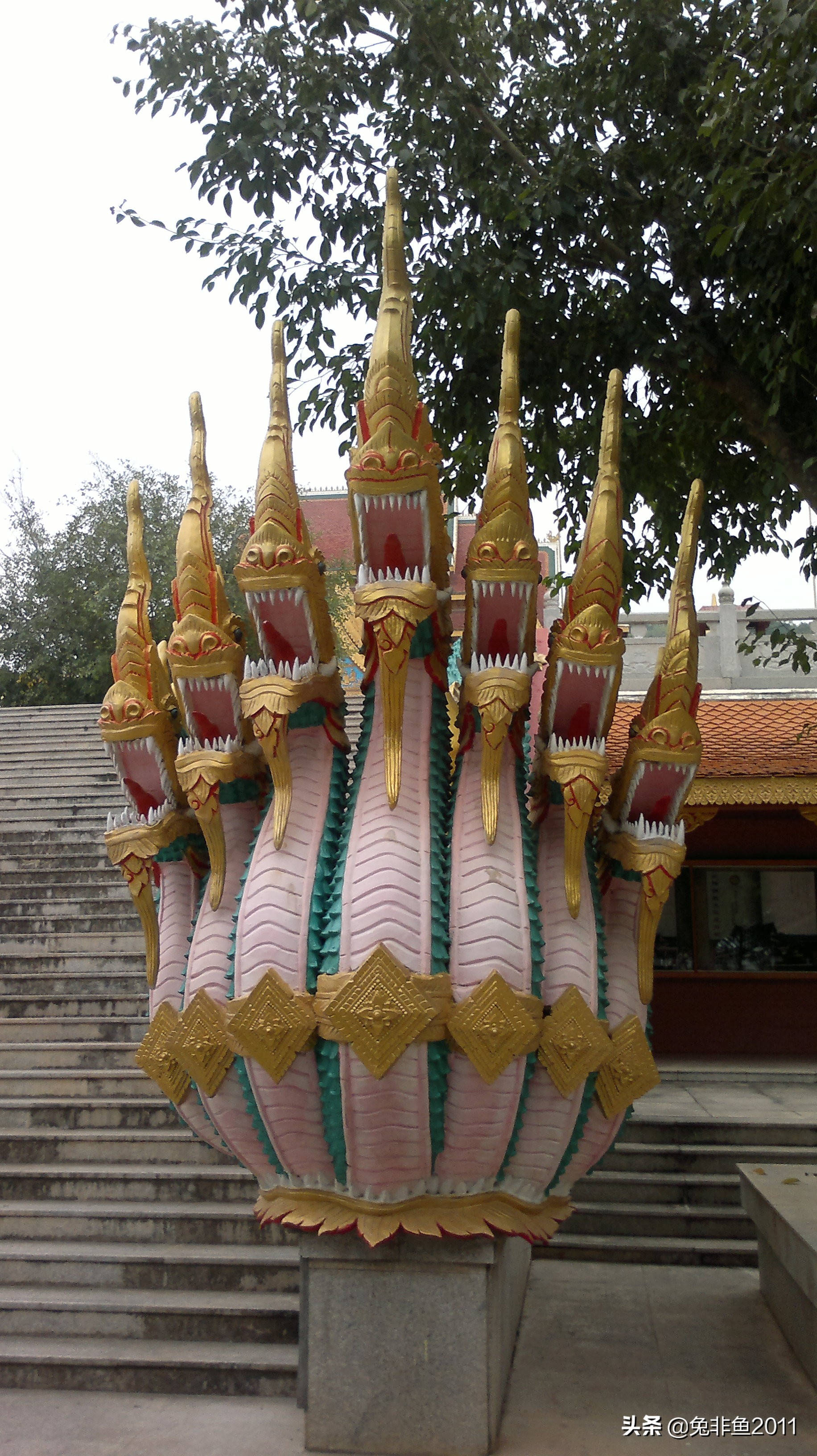 云南腾冲滇峰之旅,云南瑞丽中缅边境一日游