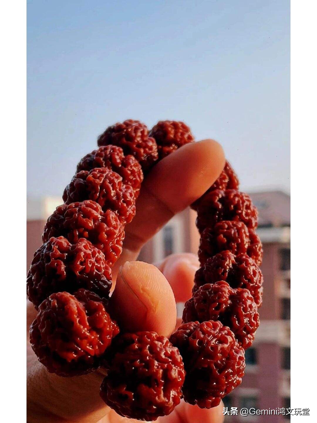 金刚菩提子用刷子刷起什么作用,金刚菩提子用什么刷子刷比较好