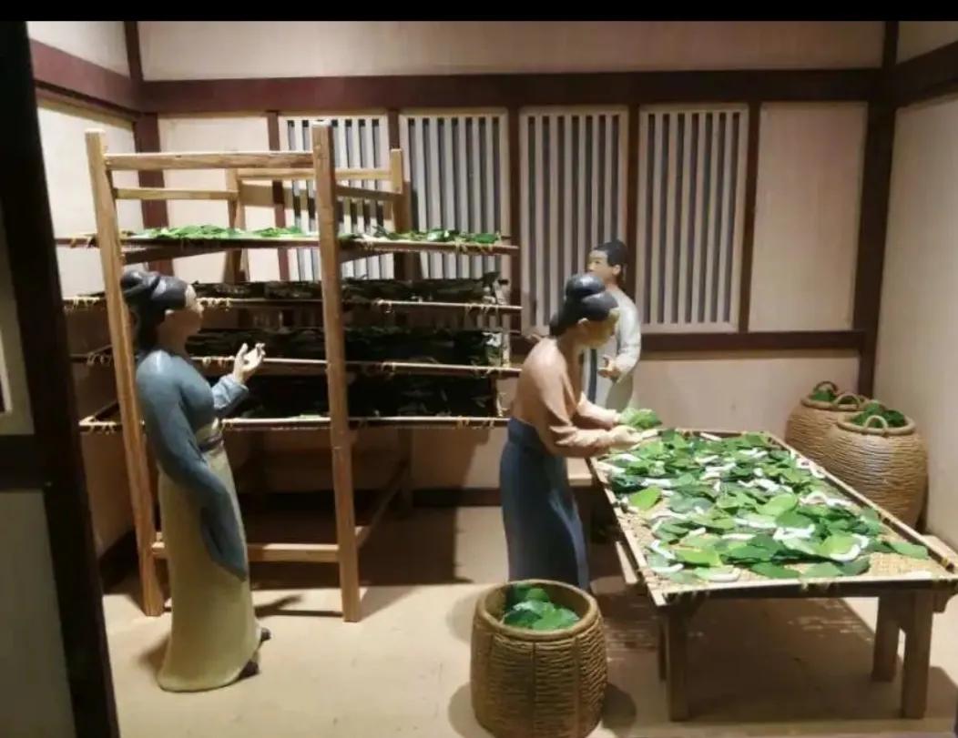 中国丝绸博物馆和中国之江博物馆,博物馆中国的服装